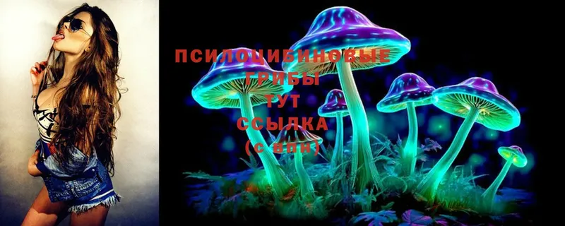 Псилоцибиновые грибы Psilocybine cubensis  магазин    ОМГ ОМГ ССЫЛКА  Кудымкар 